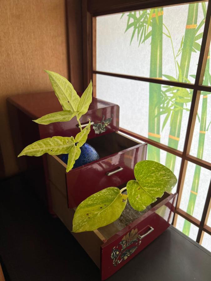 Villa ゆい屋 à Ishigaki  Extérieur photo